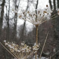 IMGP3569
