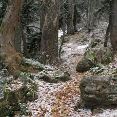 IMGP3579